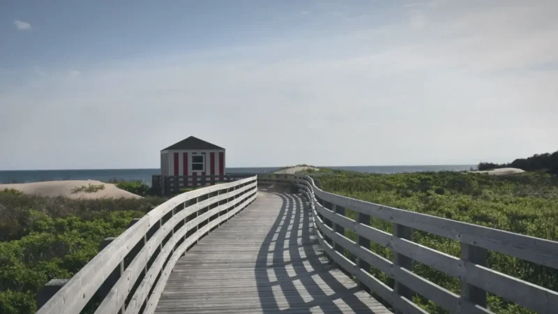 Coastal Forest Trails – Short hiking routes(3)