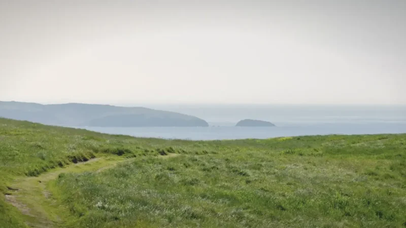 Coastal Meadows – Open grassland scenery(4)