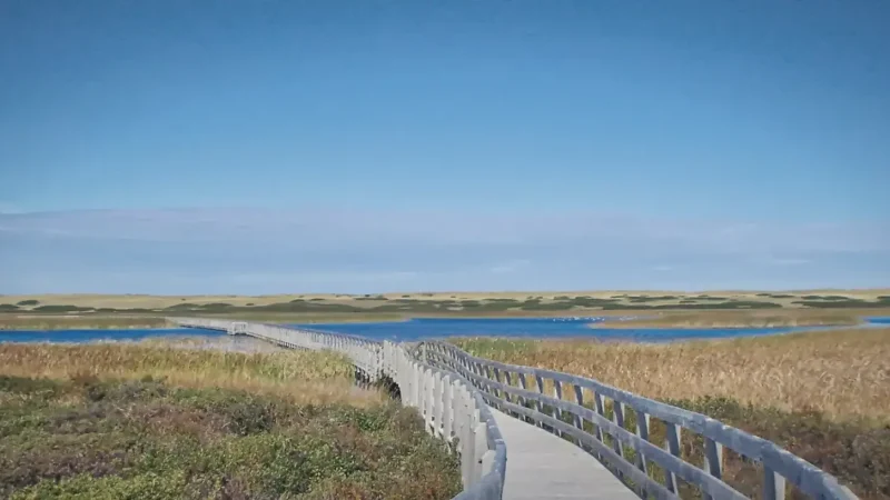 Coastal Photography Spots – Popular photo locations(4)