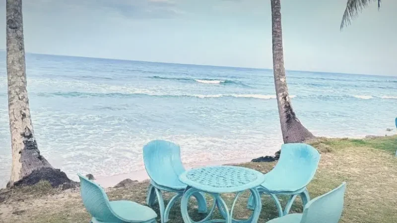 Coastal Picnic Areas – Relaxed Stops (Mati)(4)