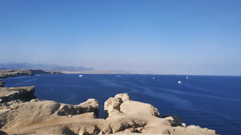 Coastal Viewpoints – Panoramic Sea Views(5)