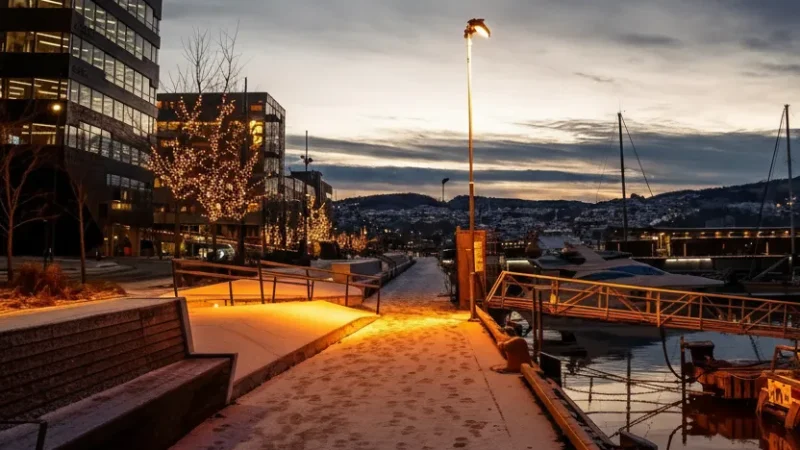 Coastal Walking Paths – Calm seaside routes(5)