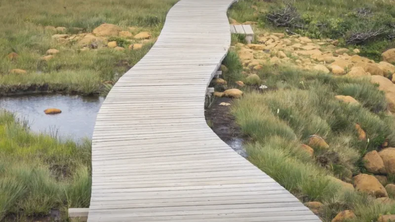 Coastal Walking Trails(3)