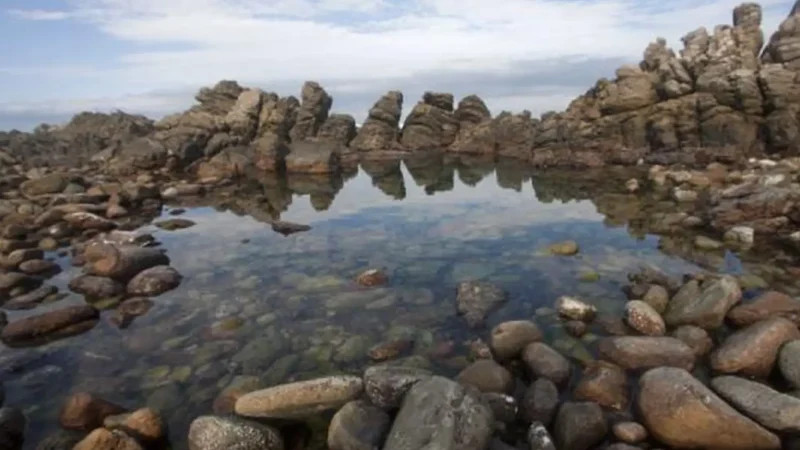 Coastal_Rock_Pools_тАУ_Natural_tidal_pools_03
