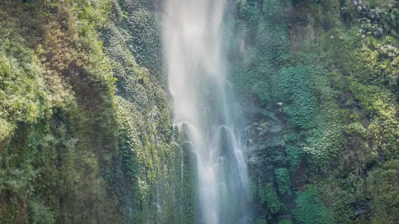 Coban Rondo Waterfall(3)