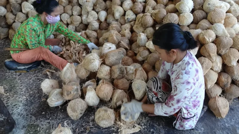 Coconut Candy Making Spots(4)