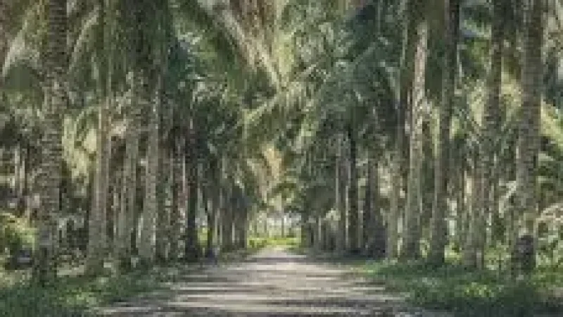 Coconut Grove Area –(6)