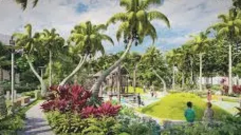 Coconut Grove(3)