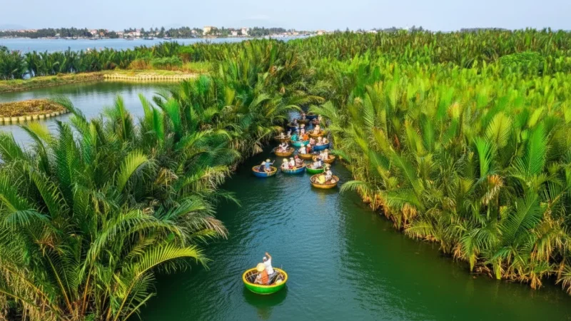 Coconut Plantations – Traditional coconut-growing areas(5)