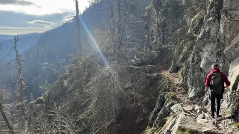 Col de la Schlucht(4)