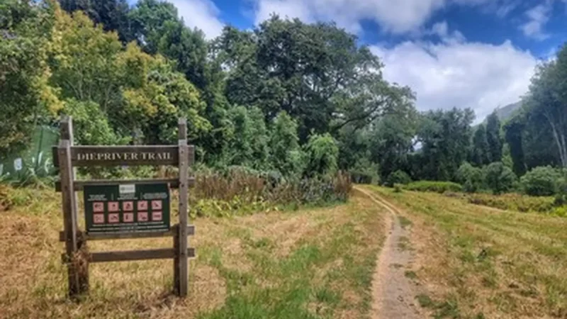 Constantia_Greenbelt_тАУ_Walking_and_cycling_paths_02