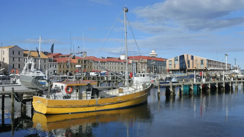 Constitution Dock – Fishing boats and seafood(4)