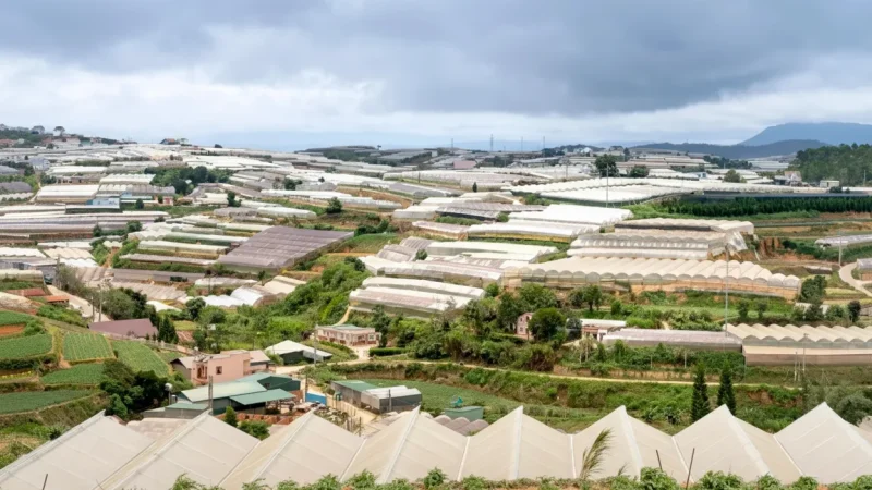 Cool Climate Farms – Vegetable & Fruit Areas(6)