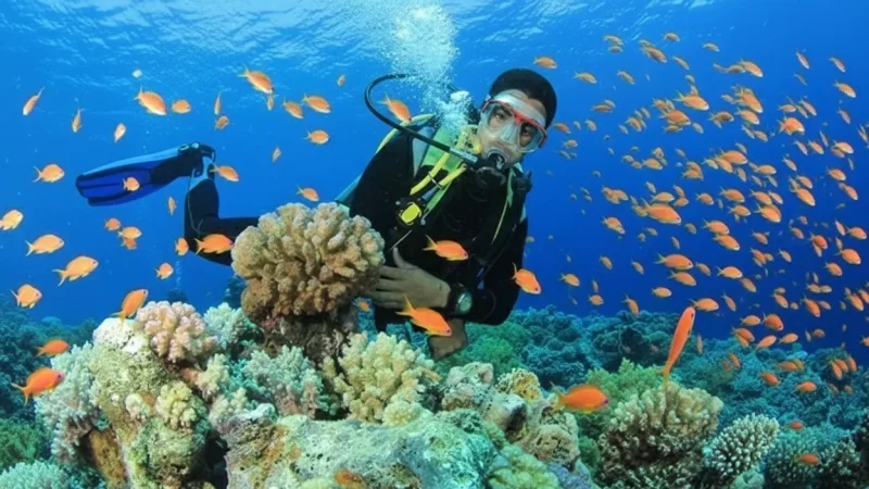 Coral Garden Reefs – Colorful Underwater Views(3)