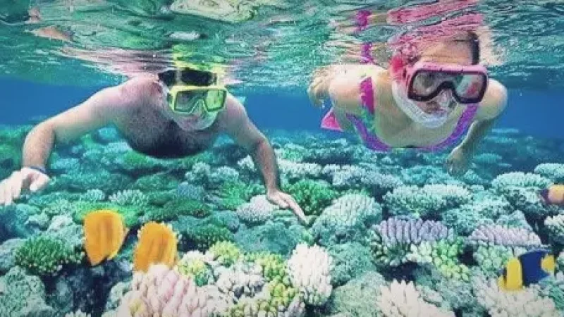 Coral Garden Snorkeling Spot(3)