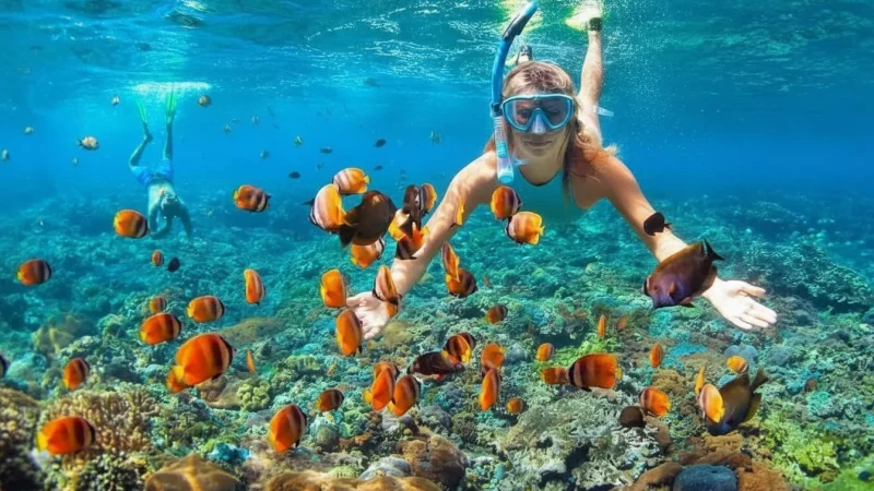 Coral Reef Snorkeling Areas – Marine life(5)