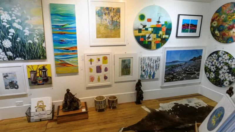Coromandel_Artists_Studios_тАУ_Local_art_area_03