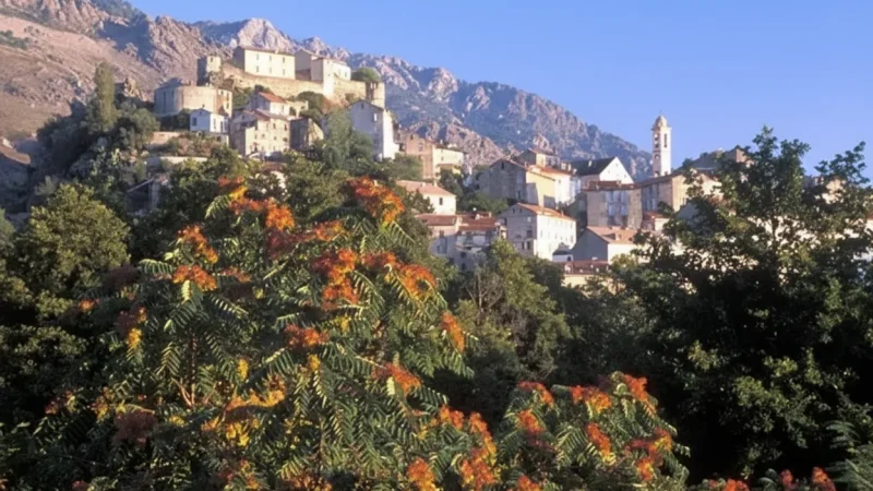 Corte – Historic Centre of Corsica(3)