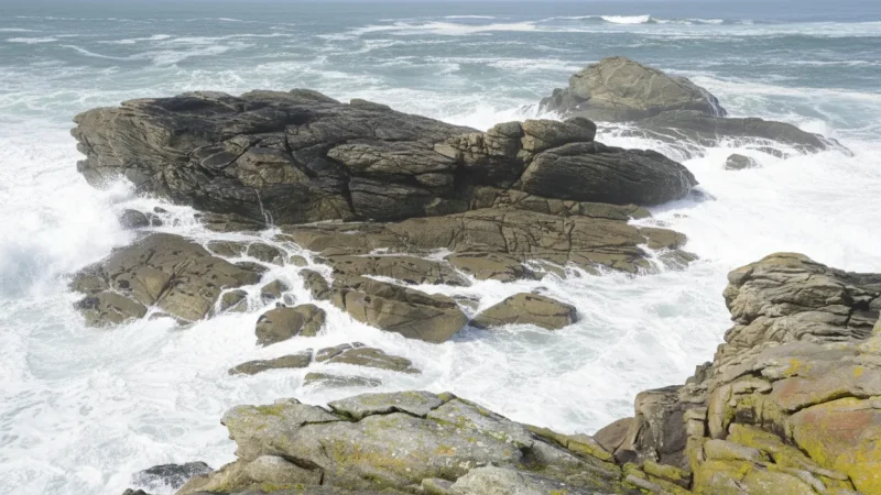 Côte Sauvage (Quiberon Le Croisic coast section)(1)