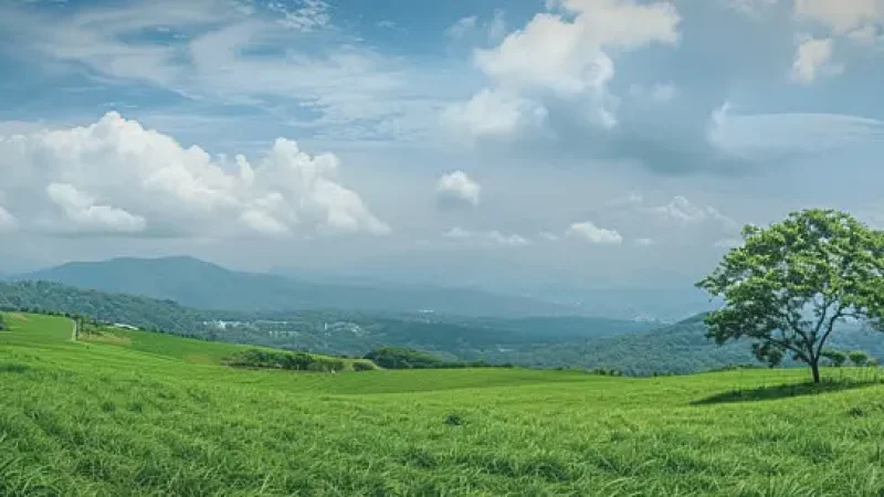 Countryside Viewpoints – Wide views(3)