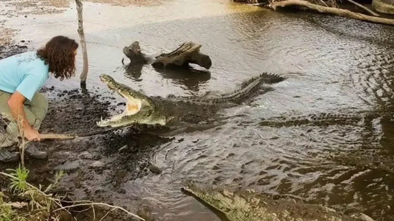Crocodile_Bridge__Tarcoles_River_2