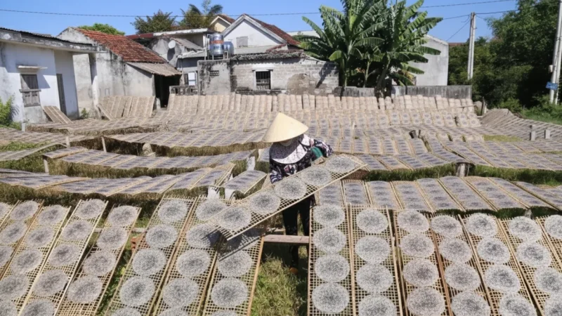 Cu Chi Rice Paper Village(4)