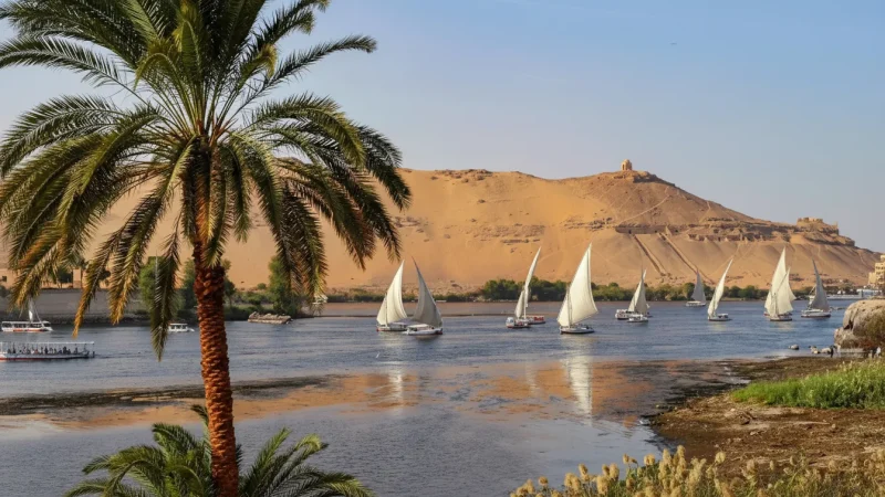 Cultural River Festivals – Seasonal Events(5)