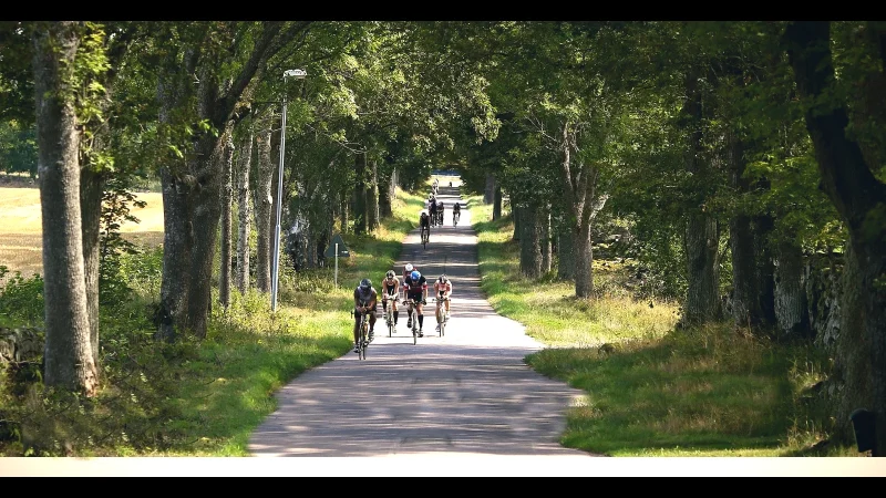 Cycling Paths Along the Coast – Scenic routes(2)