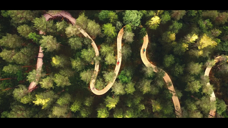 Cycling Paths Around Town(1)