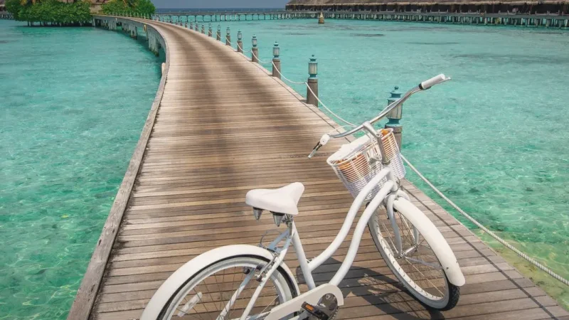 Cycling Paths(3)