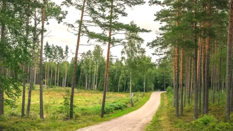 Cycling Routes – Flat scenic paths(2)