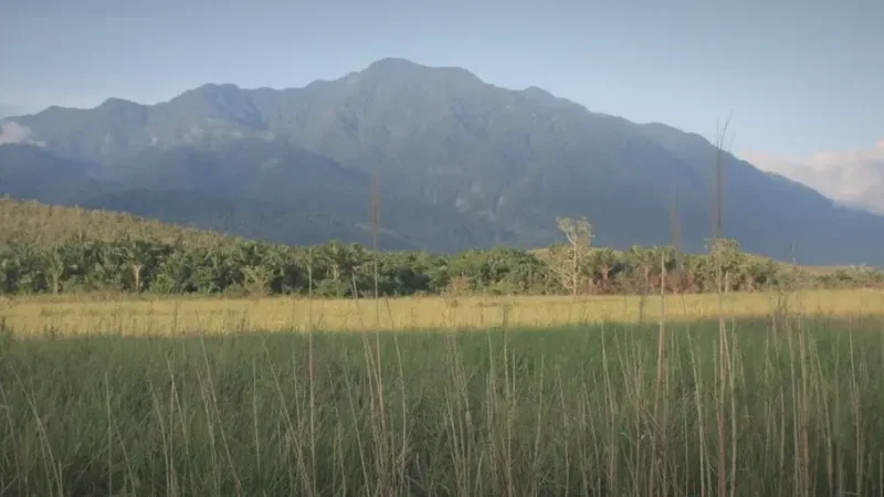 Cyclops Mountains(6)