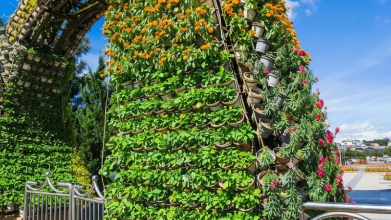 Đà Lạt Flower Garden(6)