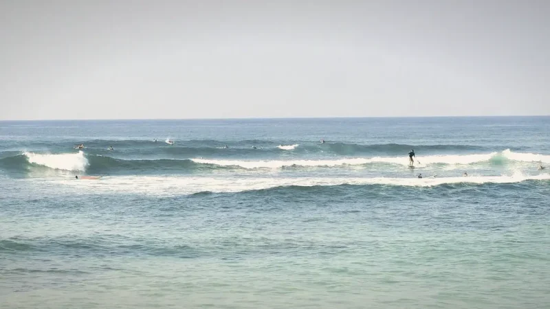 Dahican Beach – Surfing & Long Shoreline(3)