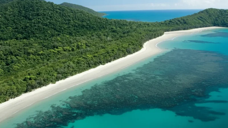 Daintree Rainforest – World Heritage rainforest(5)