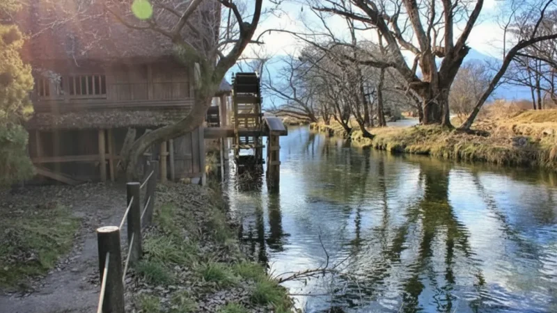 Daio Wasabi Farm(5)