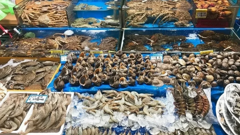 Dam Market – Traditional busy market(2)