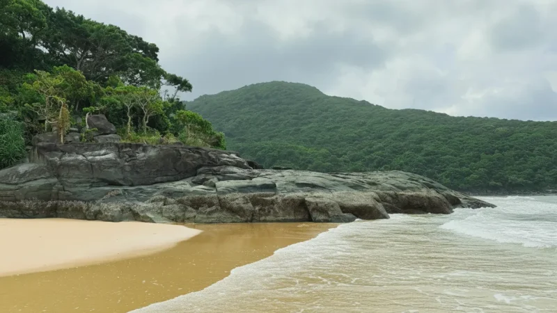 Dam Trau Beach – Calm sandy beach ideal for swimming(2)
