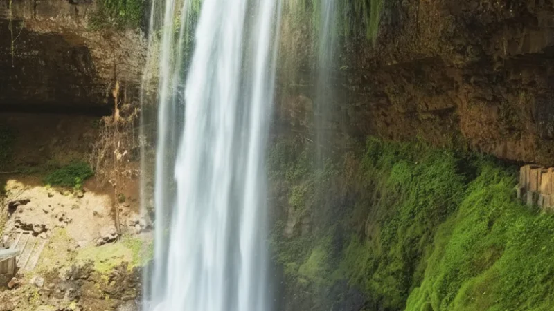 Dambri Waterfall – A tall and scenic waterfall(2)