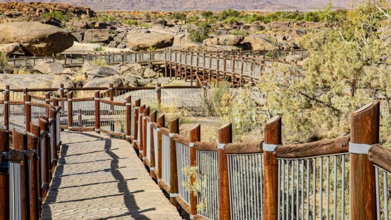 Dassie_Interpretive_Trail_тАУ_Short_walking_trail_06