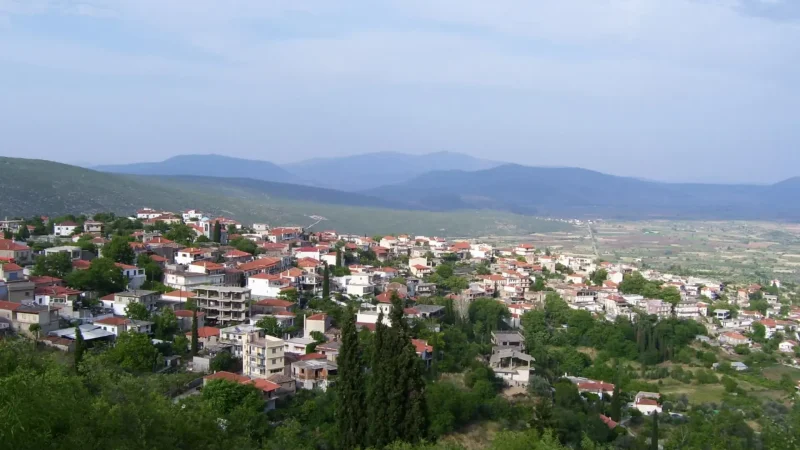 Davleia_03