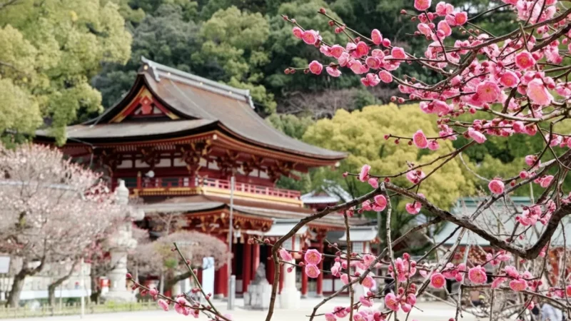 Dazaifu Tenmangu Shrine(4)