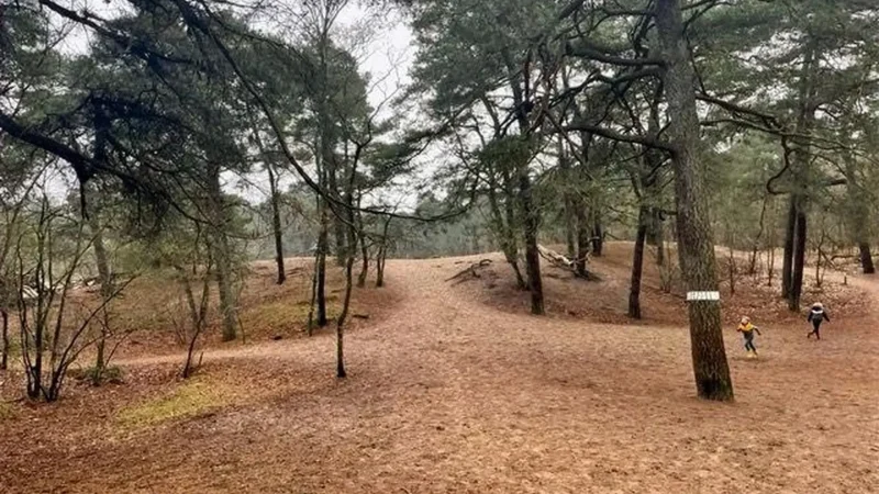De_Biltse_Duinen_04