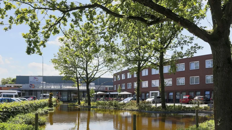De_Bonte_Wever_03