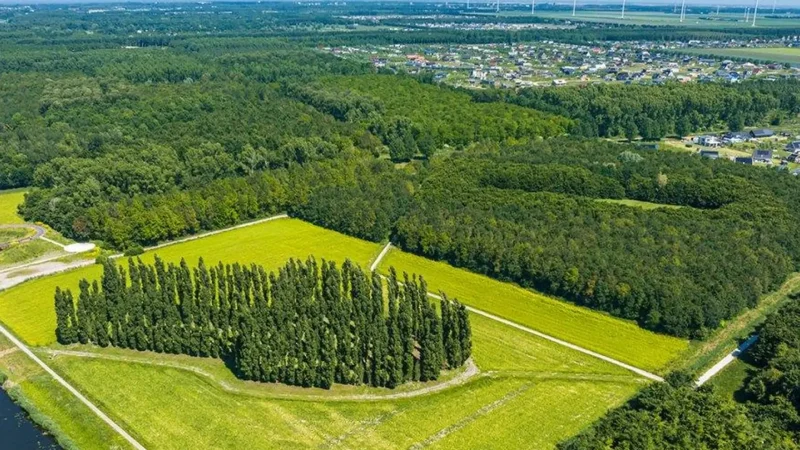 De_Groene_Kathedraal_02