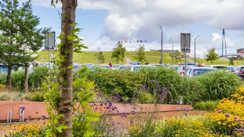 Delfzijl_City_Park_05