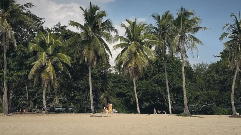 Desaru Beach(3)