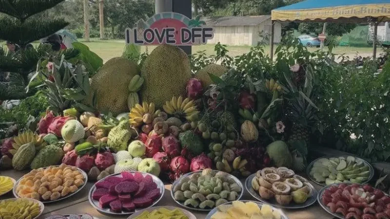 Desaru Fruit Farm(4)