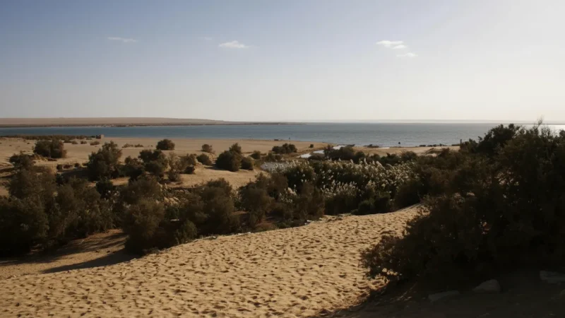 Desert Backdrop Areas – Sand and Water Contrast(6)