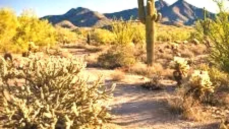 Desert Coast Trails – Short walking path(5)